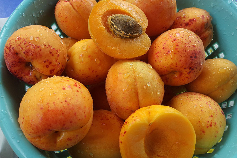 Подготовка абрикосов