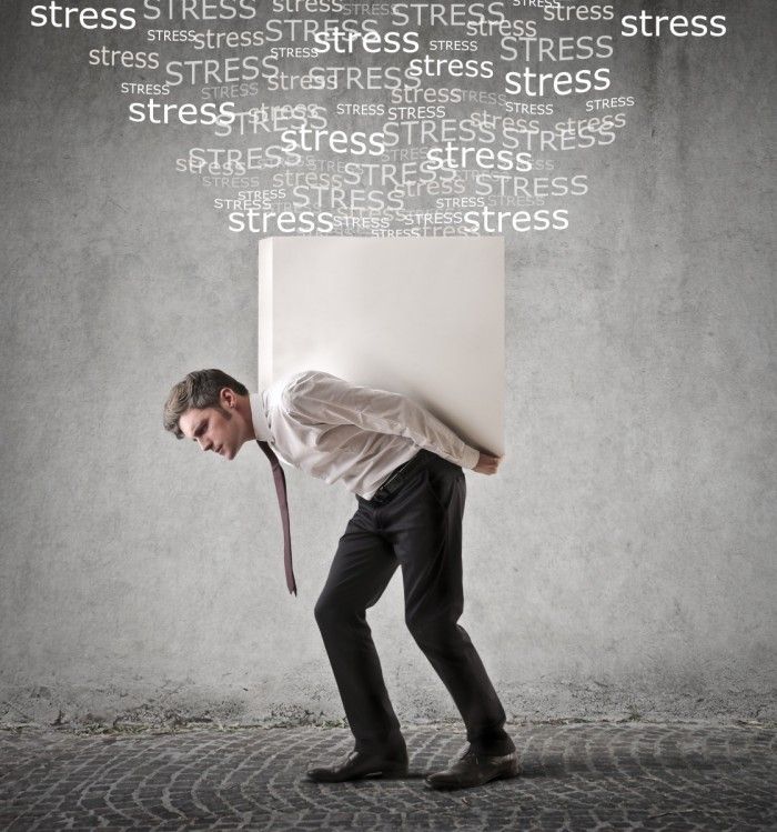 Стрессоустойчивость организма. Преодоление стресса